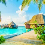 Dream. Explore. Discover. Where Will You Go Next?